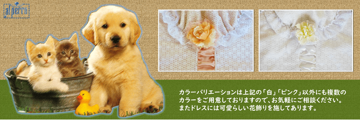 カラーバリエーション